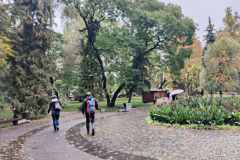 viber_image_2026-07-05_18-39-42-186